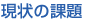 現状の課題 現状の課題
